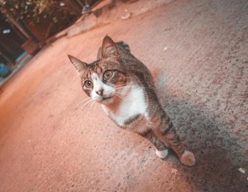 Riad Three Brothers Marrakesh Bagian luar foto